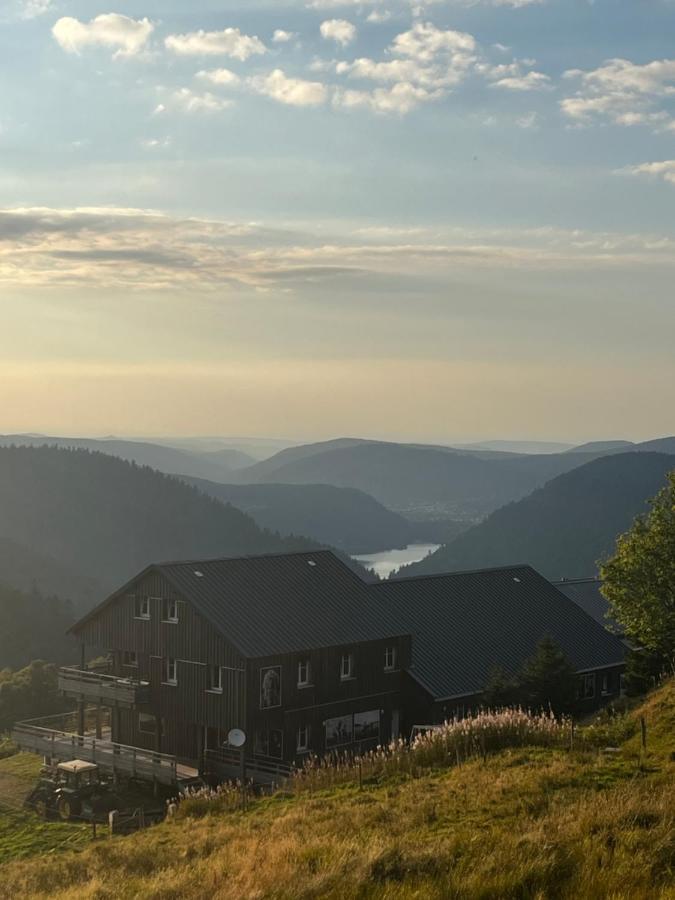 Le Chalet De La Folie Corcieux Экстерьер фото